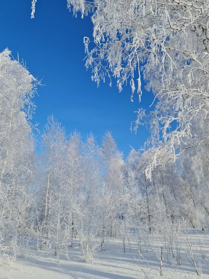 Сказочная зима - Моё, Природа, Снег, Фотография, Пейзаж, Лес, Березы, Сибирь, Длиннопост, Зима, Иней, 