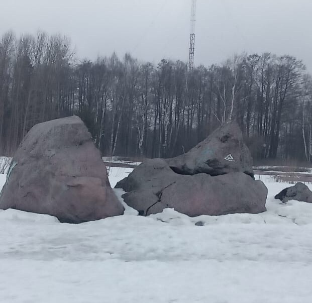 По льды Невской Губы. На лыжах 19.03.2022г - Моё, Поход, Прогулка, Финский залив, Видео, Вертикальное видео, Длиннопост, 