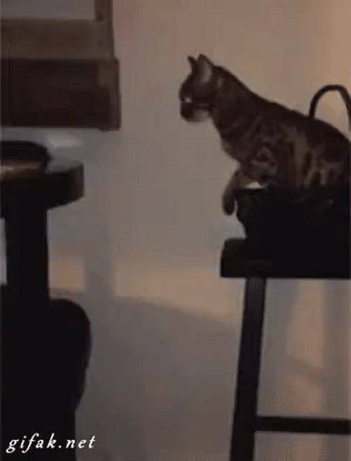   vs  , , 