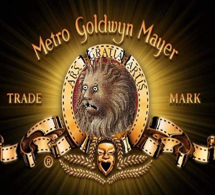 Metro Goldwyn Mayer