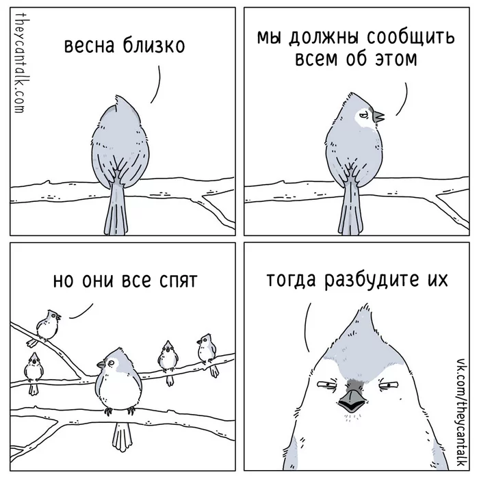 Spring - Theycantalk, Comics, Animals, Translation, Web comic, Birds, Tit, Spring, Birdsong, 