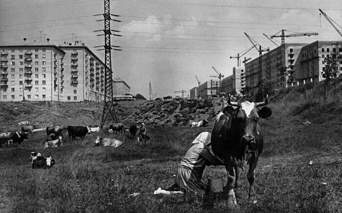 Everyday photos of the USSR (1950s, 1960s) - Old photo, Film, Black and white photo, the USSR, History of the USSR, Longpost, 