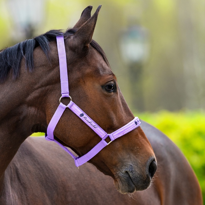 Ответ на пост «По поводу таланта»