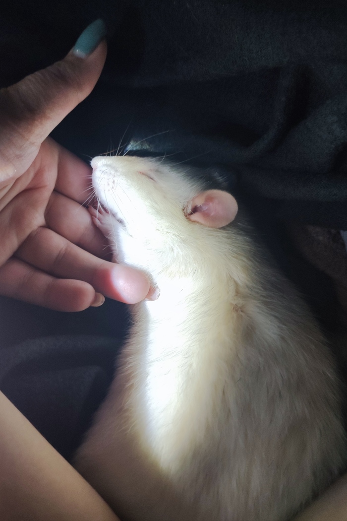 Хорошо поспать после обеда