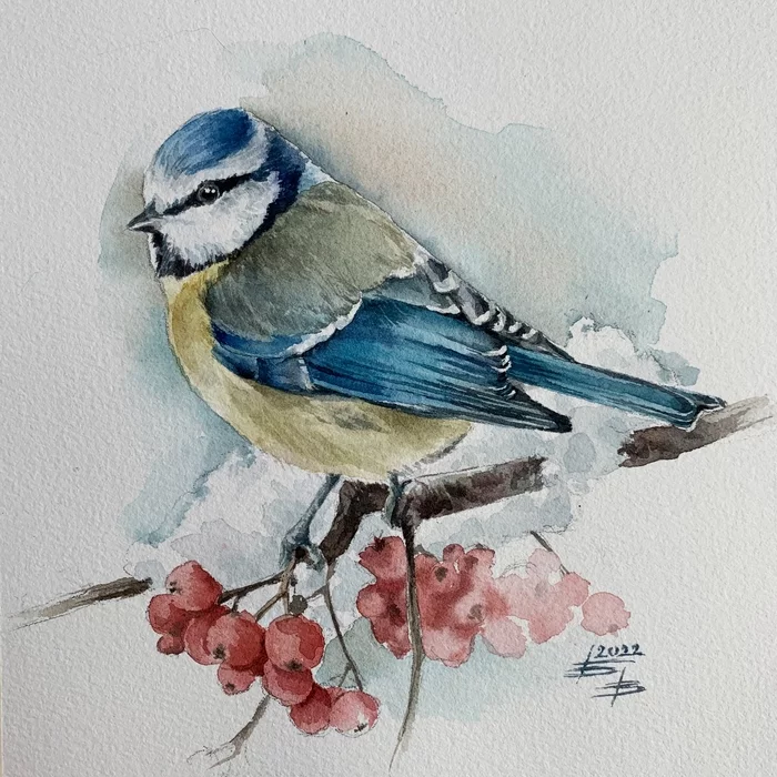 titmouse - My, Watercolor, Drawing, Artist, Painting, Tit, Lazorevka, 