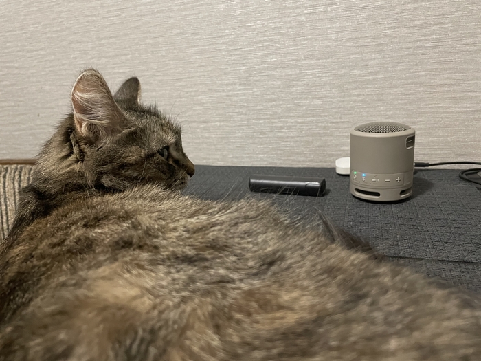 ����� ���