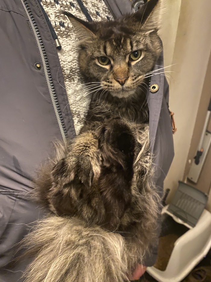 Почти кенгуру