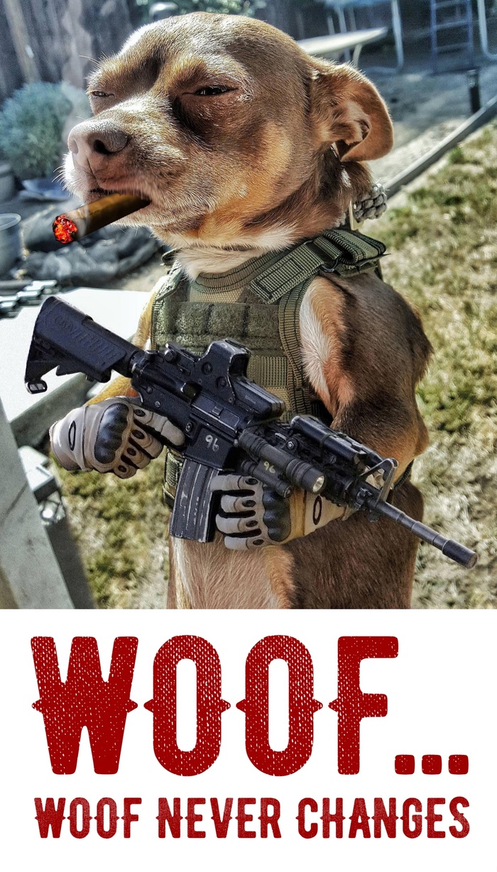 ���� ������ ����������� ��� �������? ������ �� � ��!