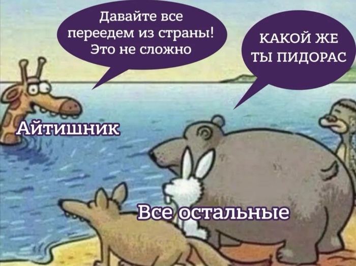 На волне миграции IT-специалистов