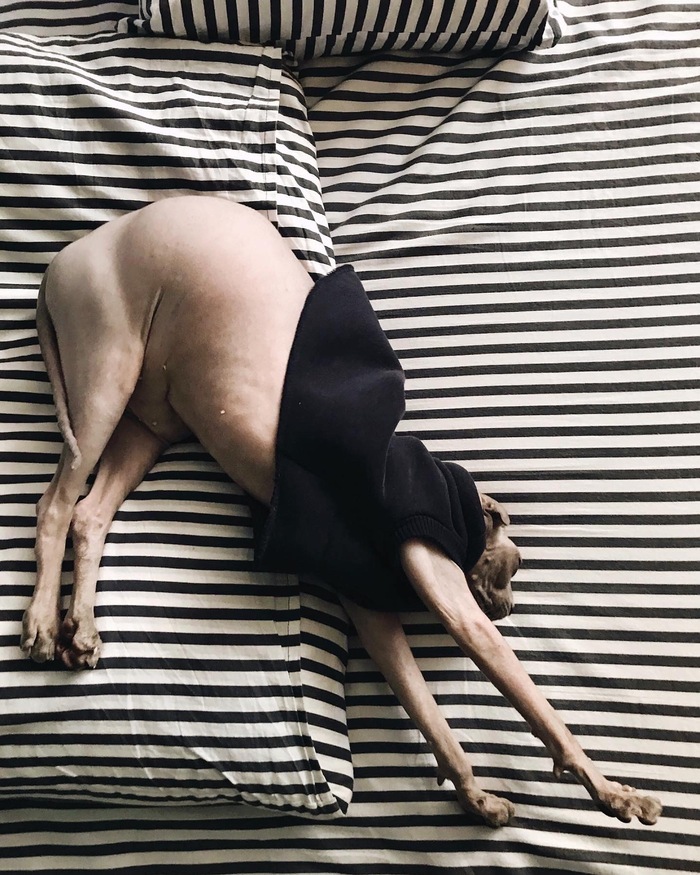 ,   ,  ,  ,  , , , 