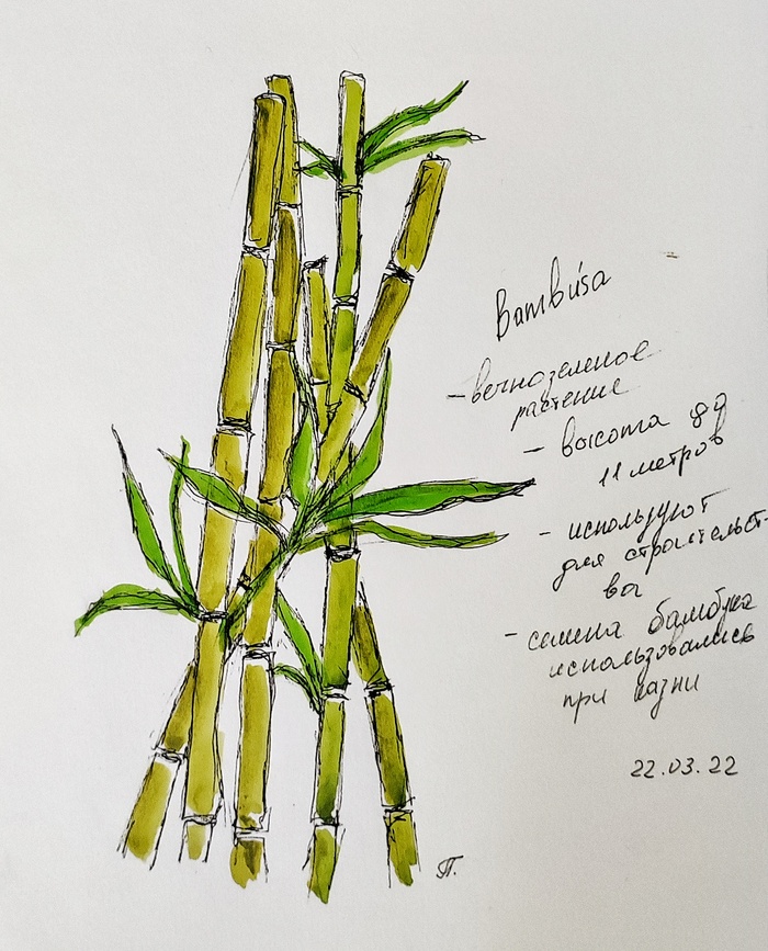 Illustrator's diary , , , , , 