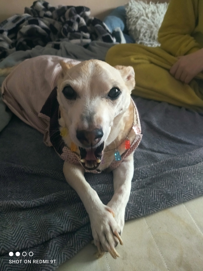 Нужна помощь