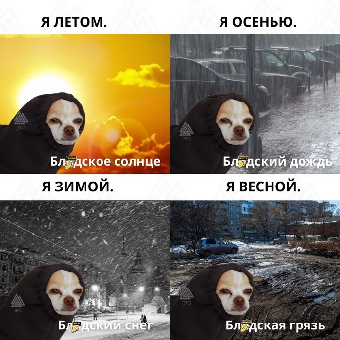 Or are you one of them? - Snow, Seasons, Heat, Dirt, Rain, Dog, Mat, 
