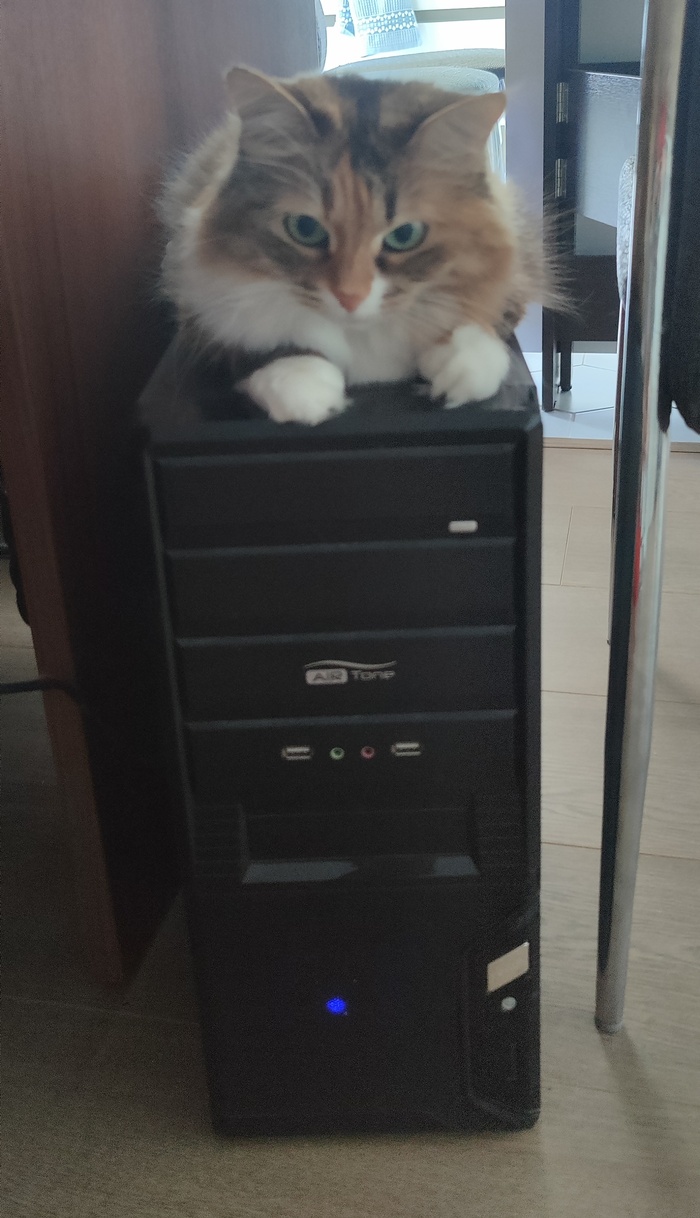 ������� �� ������� �� ����� ���� ���������