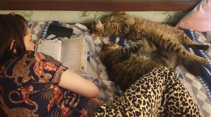 ��������� ����