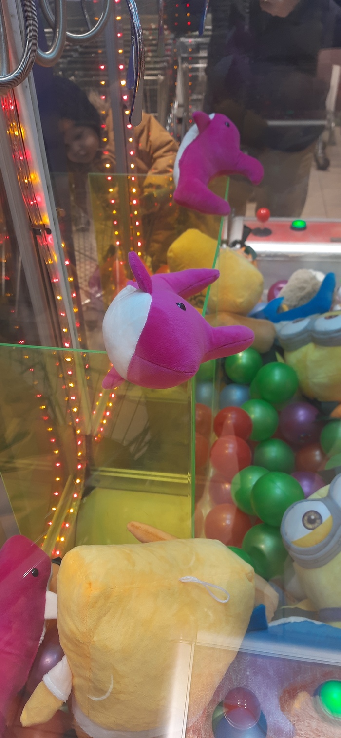 ������� � ���� �����