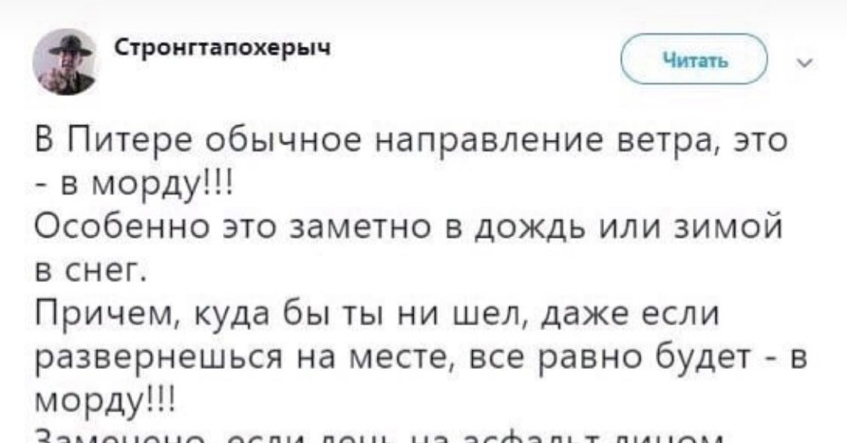 Ветер дул в лицо. В Питере ветер дует в морду. В Питере обычное направление ветра это в морду. Направление ветра в Питере в морду. В Питере ветер всегда дует.