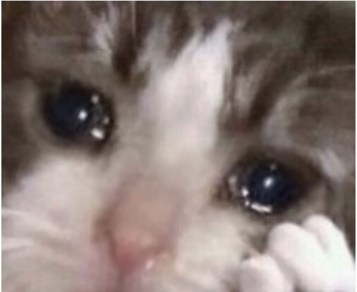 ������� - ������������ ����������