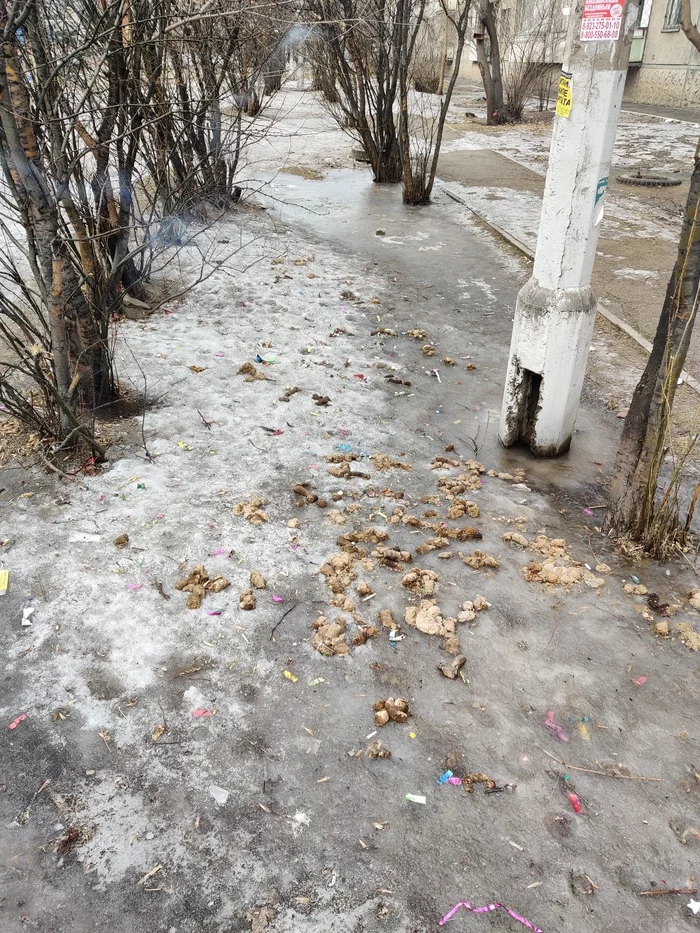 Spring came - Dog, Dog lovers, Feces, Spring, 