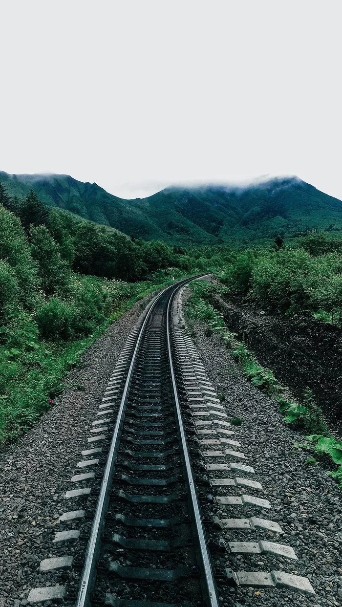 The most beautiful railway of Russia according to FORBES magazine - My, Travels, Travel across Russia, Longpost, Narrow gauge, Severodvinsk, North, 