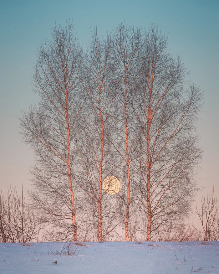 In the rays of dawn - My, Winter, Landscape, Travel across Russia, dawn, Nikon D750, moon, Morning, 