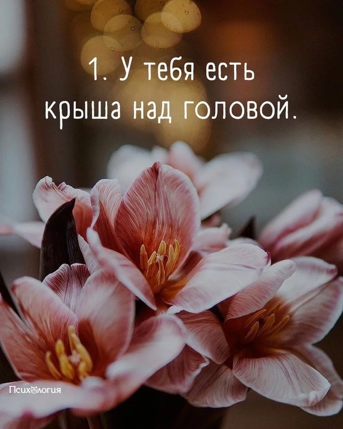 9 ПРИЗНАКОВ ТОГО, ЧТО У ТЕБЯ В ЖИЗНИ ВСЕ ХОРОШО - Счастье, Семья, Счастливые числа, Длиннопост, 