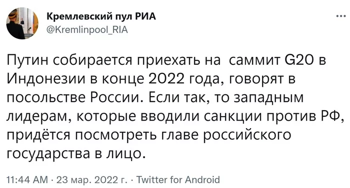 Russian Ambassador to Jakarta: Putin's participation in the G20 summit in Indonesia remains in the plans - Politics, Russia, Vladimir Putin, G20, West, Sanctions, Риа Новости, Screenshot, Twitter, news, Society, Indonesia, 2022, 