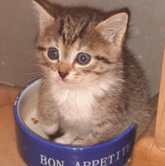 Не ешь, подумой