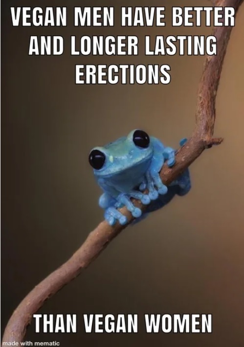 У мужчины вегана лучше и дольше эрекция,