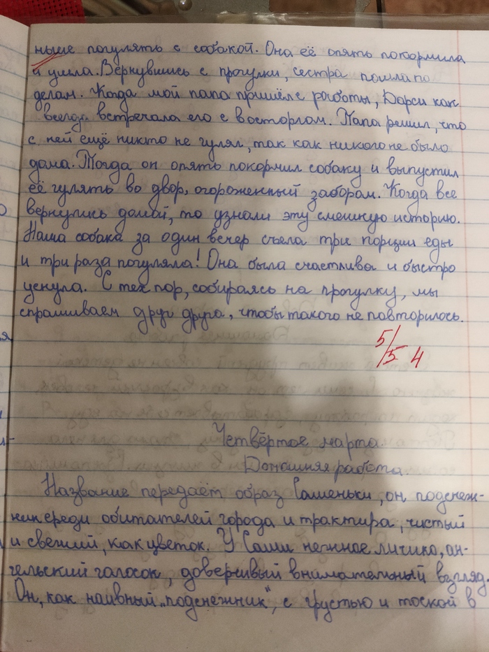 Школьные сочинения | Пикабу