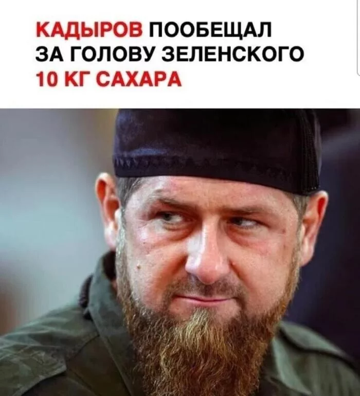 Сахарная голова - Юмор, Владимир Зеленский, Рамзан Кадыров, Сахар, 
