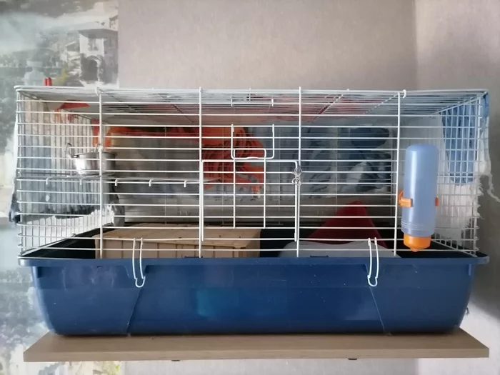 I will give a cage for rodents - My, Chinchilla, Is free, Cell, Rodents, Video, Vertical video, Moscow, North-East Administrative District, , No rating