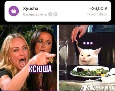 Xyusha - Two women yell at the cat, Online Store, , Screenshot, Repeat, Humor