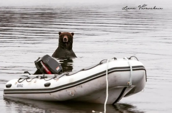 �� � ��� �� ��, ��������?