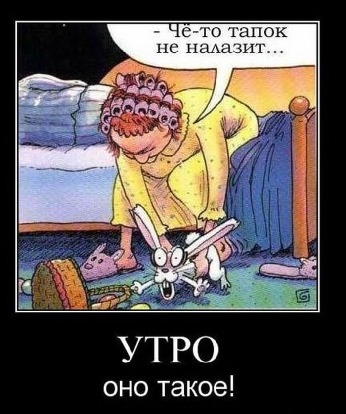 Доброе утро