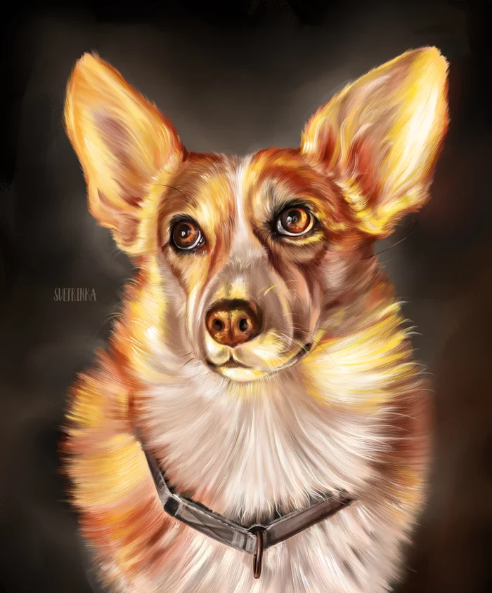 Sunny Friend - My, Svetrinka, Svetrinkaart, Procreate, Illumination, Drawing, Dog, 