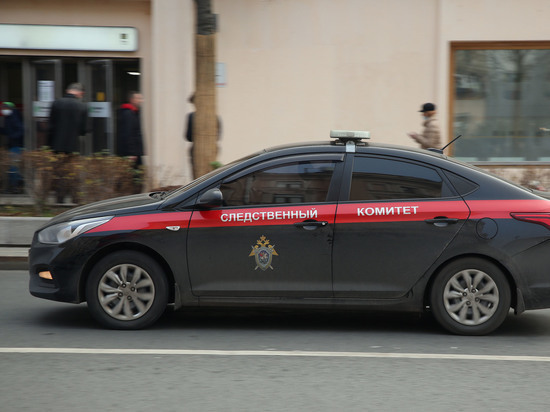 In Moscow, attacked the car of the Investigative Committee: the criminal was detained - Police, Moscow, Driver, investigative committee, Attack, Axe, Detention, Dislike, What's happening?, Inadequate, 