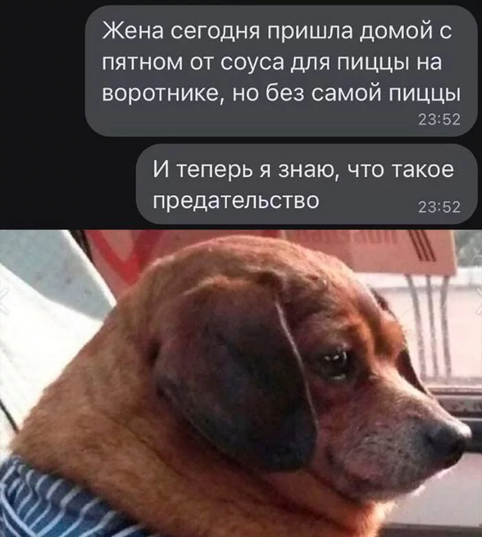 Это уже слишком - , Пицца, Скриншот, Юмор