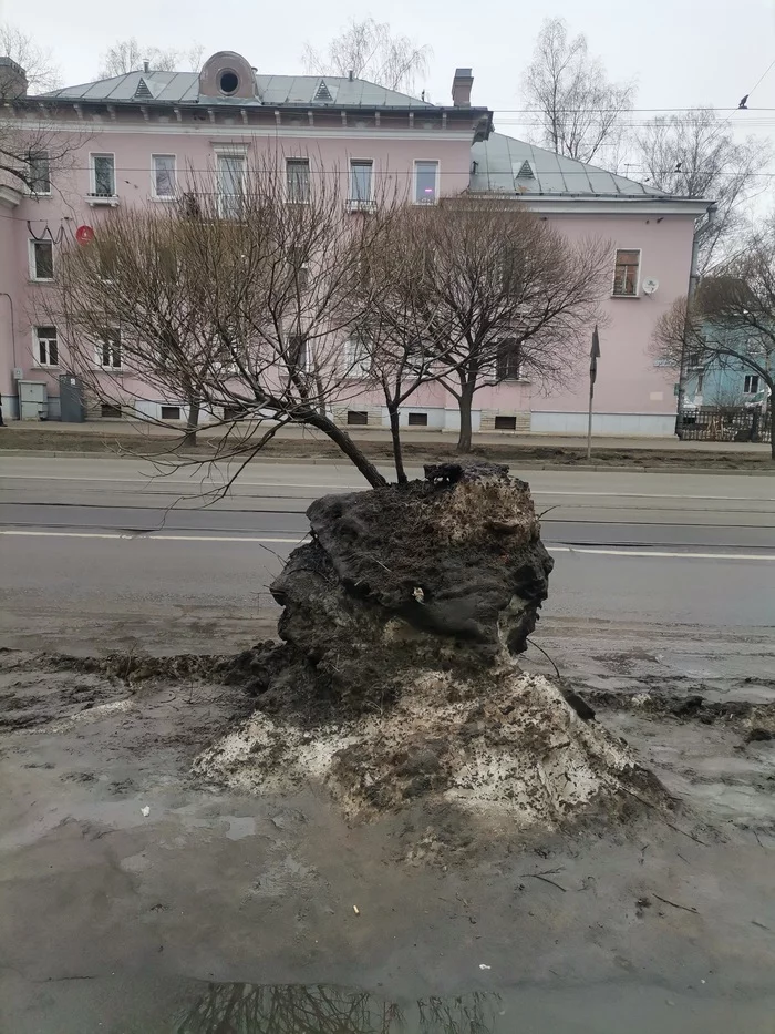 Winter is receding, but still holding on - My, Winter, Avant-gardism, Saint Petersburg, Dirt, 