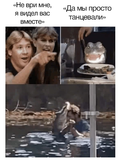 Treason - Picture with text, Memes, Steve Irwin, Crocodiles, Two women yell at the cat, , Humor