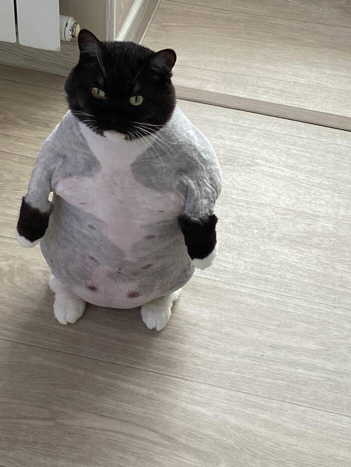 Идеальная стрижка, идеальная модель!