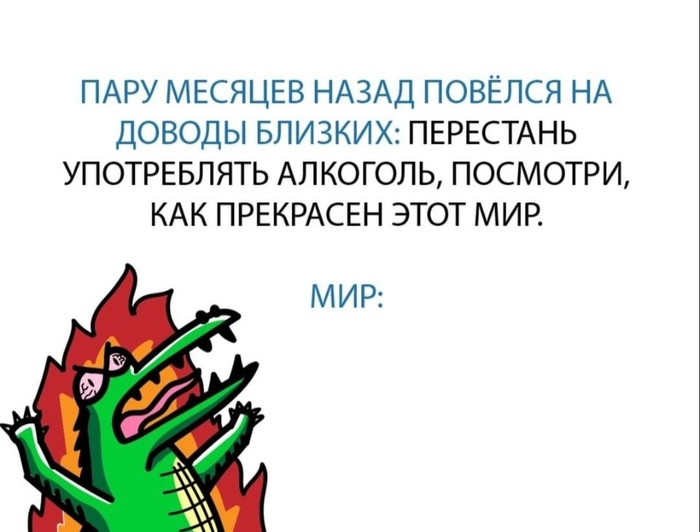 Пить или не пить