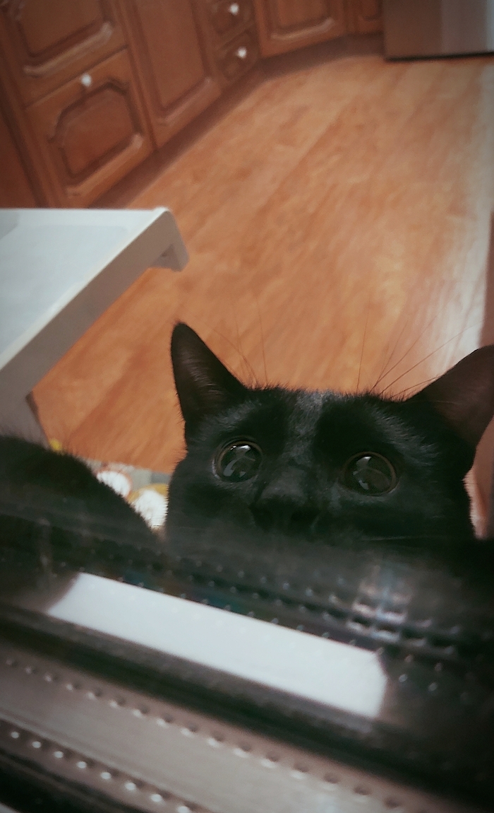 Внимание! Ведётся наблюдение!