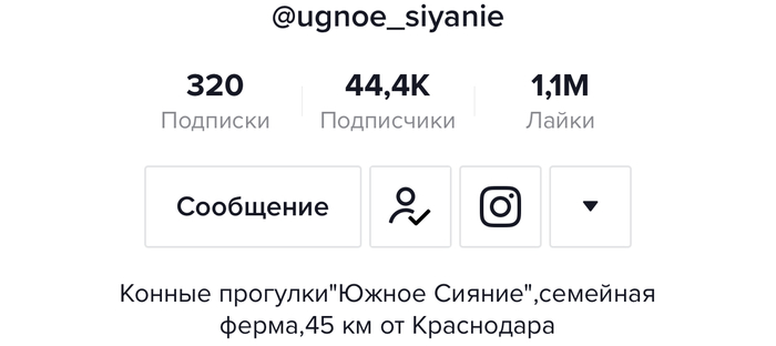 Конь не валялся?