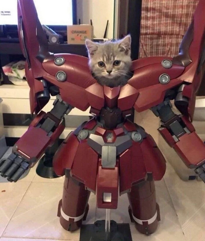 Iron Cat - cat, Milota, , Pets