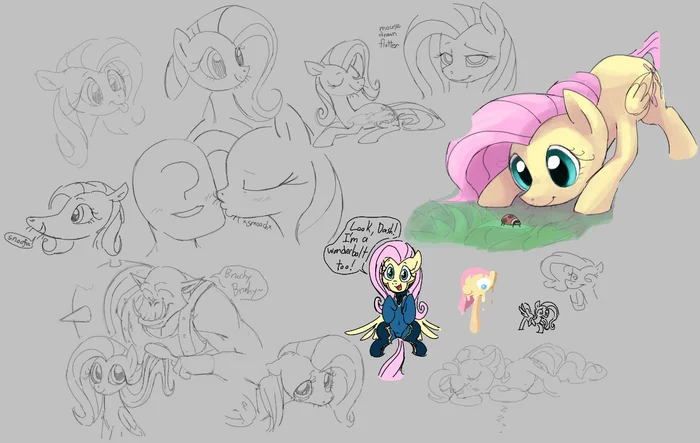 Разная - My Little Pony, Fluttershy, Dotkwa