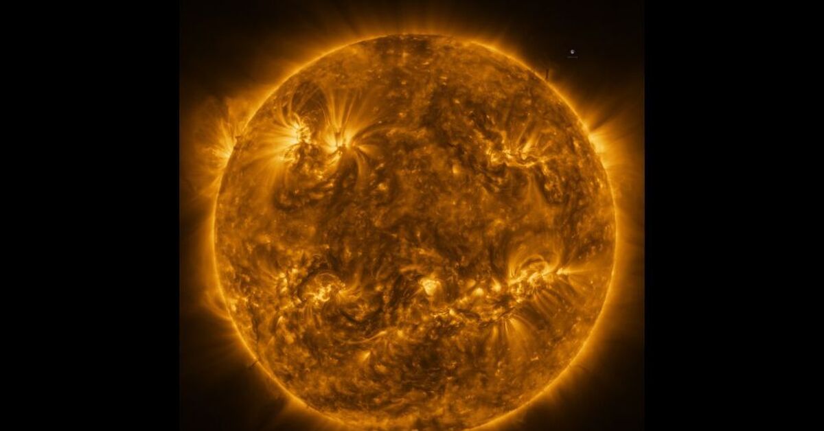 Вспышки на солнце в феврале 2024 года. Снимки солнца. Солнце снимок из космоса. Снимок солнца NASA. Космические снимки солнца.
