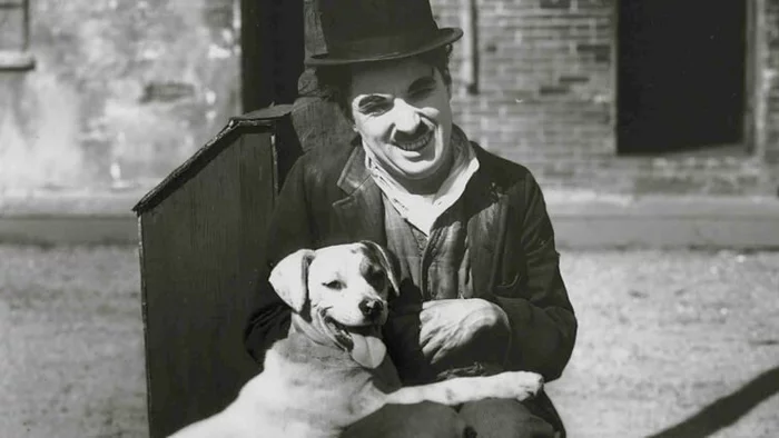 Wisdom from Genius - Charlie Chaplin, Quotes, Homeless animals, Hunger, Dog, cat, Helping animals