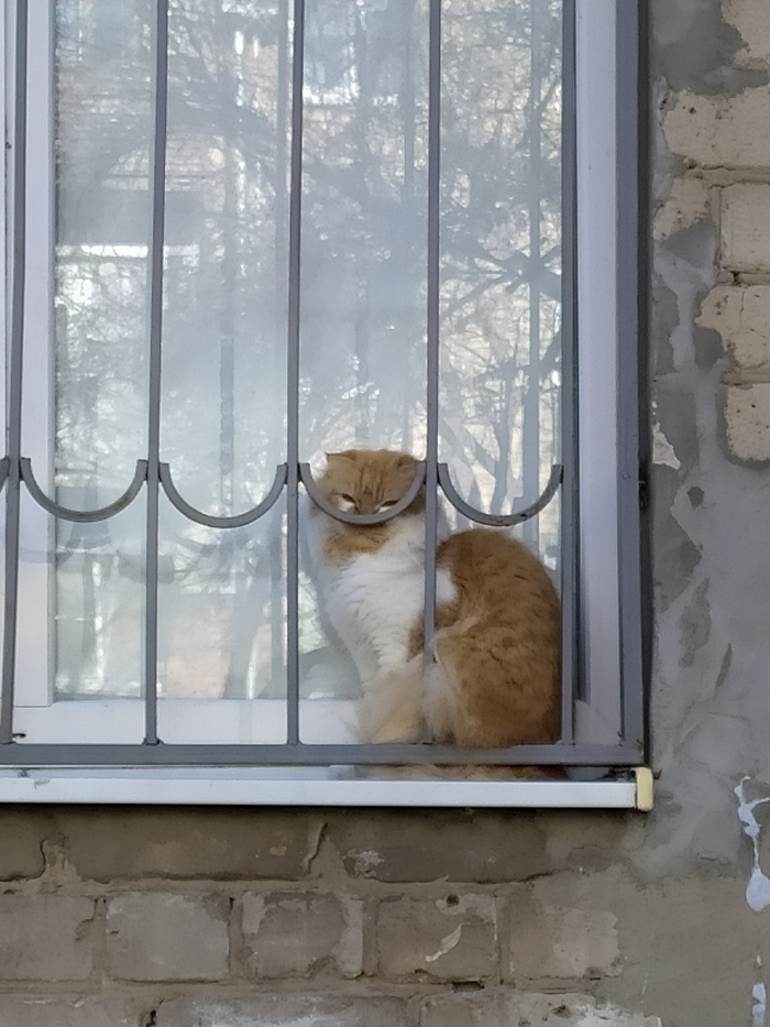 Кольвадор Дали