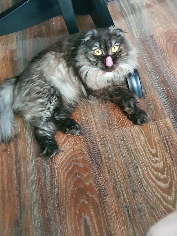 � �������!